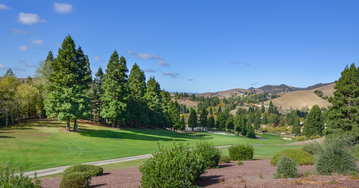 A green golf course fairway lined with palm trees under a bright Florida sky