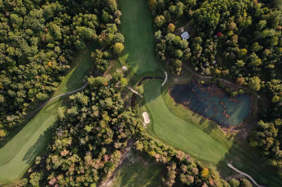 Aerial view of a golf course surrounded by trees in northern Michigan